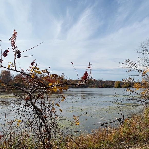 Meet the posher! - Picture 10 of 10